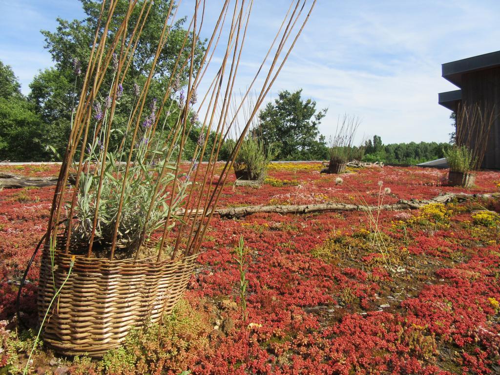 D'Une Autre Nature Mesland ภายนอก รูปภาพ